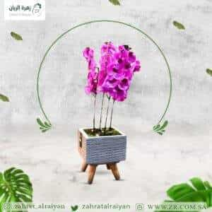 Planter pot arranged with orchid board and artificial grass