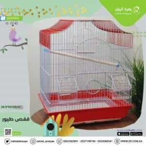 Bird cage