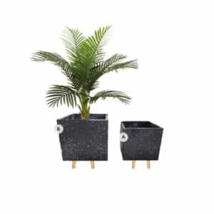 Black cube planters