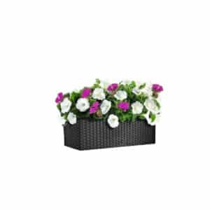 Black plastic square planter