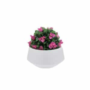 Distinctive white planters