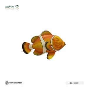 ornamental fish