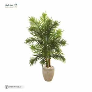 Natural Areca Palm