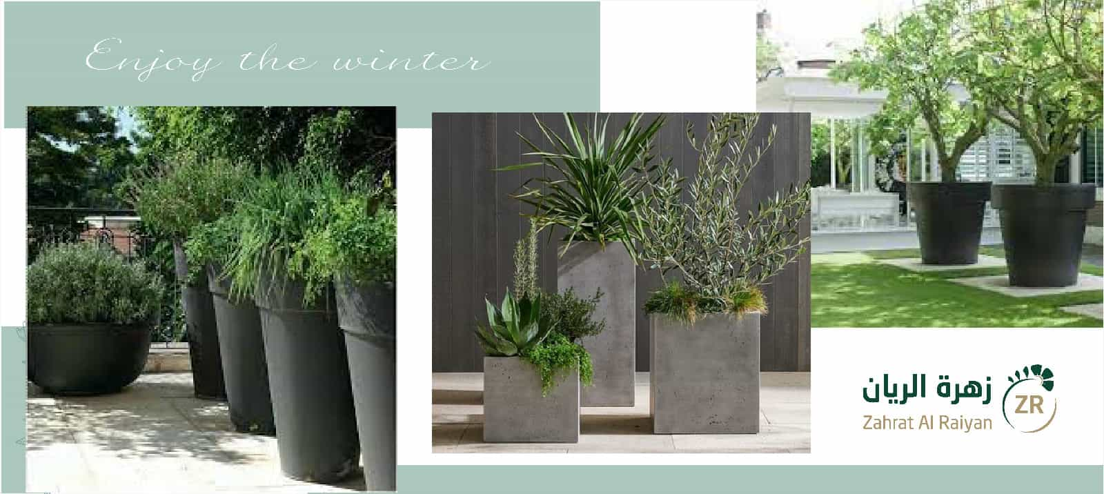 Large outdoor planters 